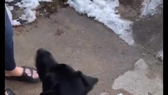 Maya almost got killed with the icicle