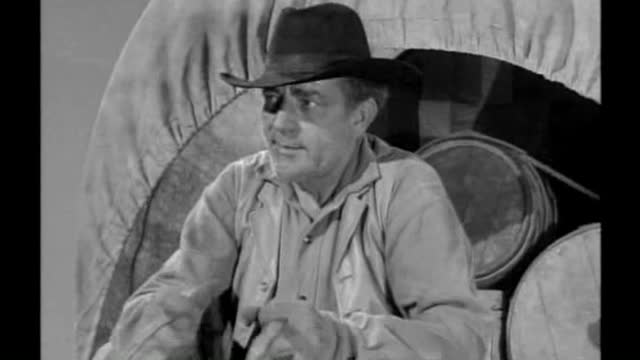 1 The Willy Moran Story