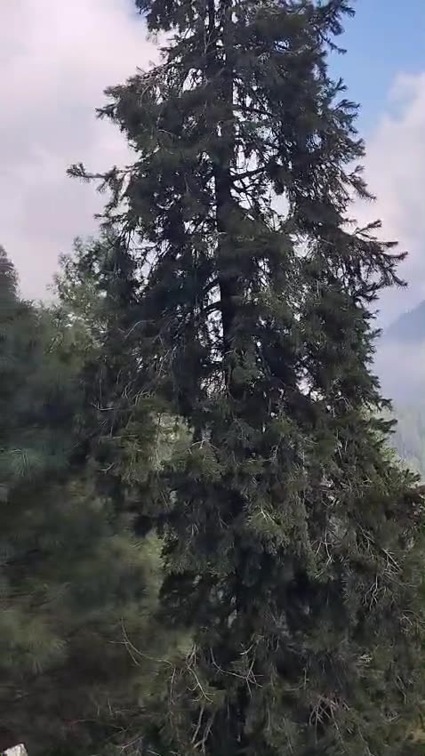 Pakistan Tour 2024-P-20