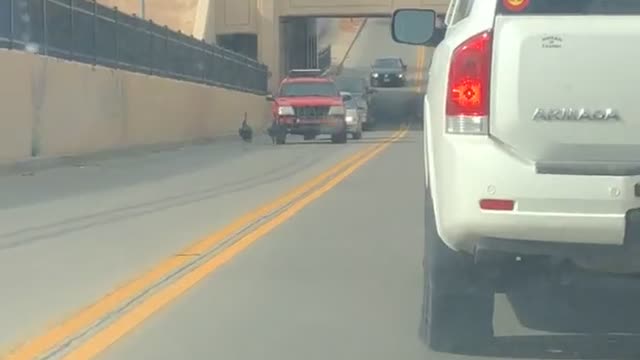 Impatient Driver Speeds Through Turkey's Holding up Traffic