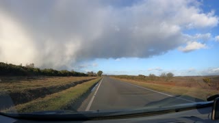 Driving in the New Forest.