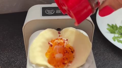 Amazing Dumpling Making Machine