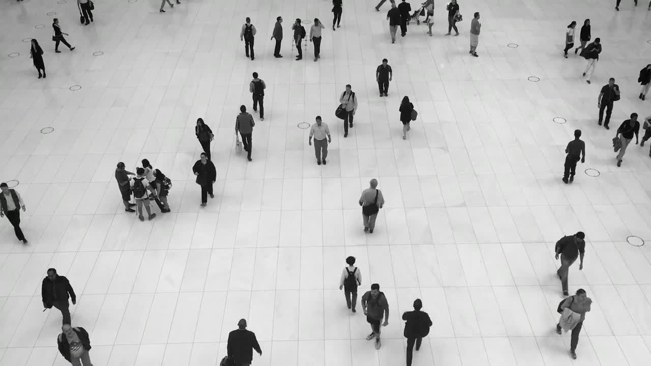 Transition on premier