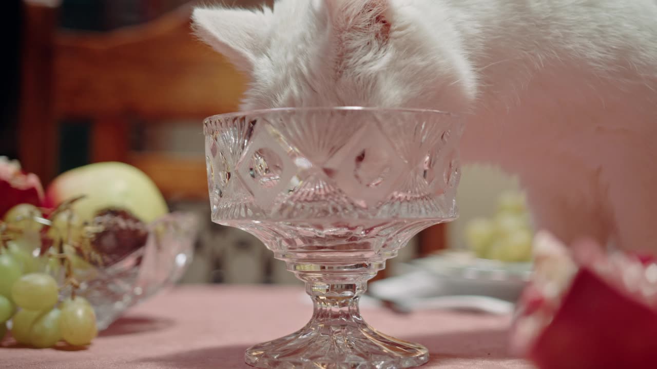 Cat Licking The Crystal Glass