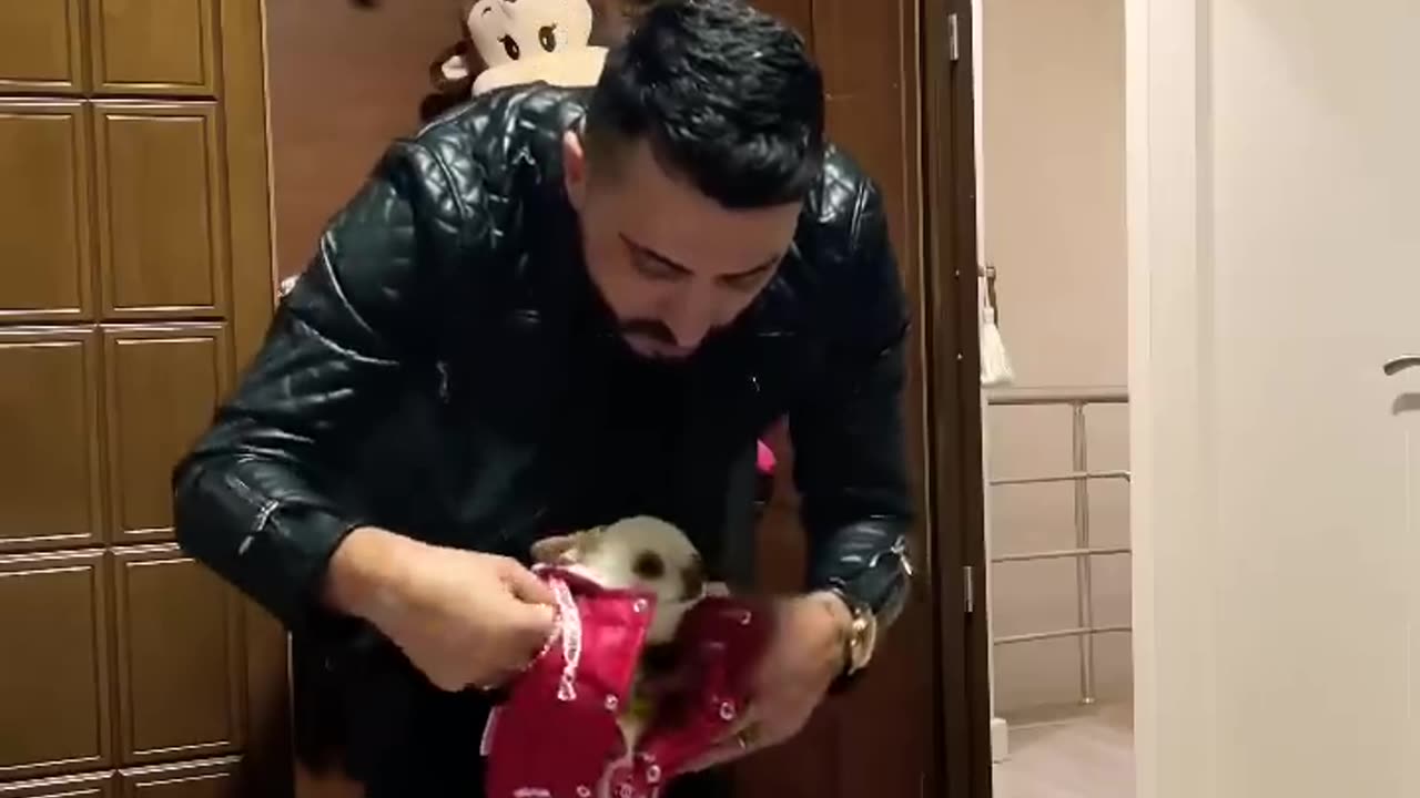 Prensesin yılbaşı hediyesi ve 2022'nin son videosu