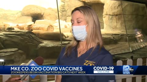 Milwaukee County Zoo Prepares To Give 50 Animals COVID-19 Vaccine