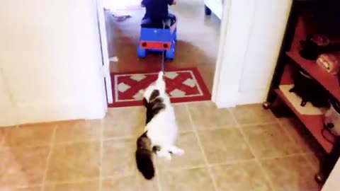 Baby and cat