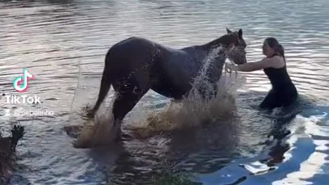 The horse went to take a bath