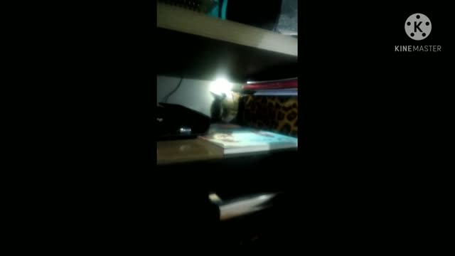 Colocando papai no bolso