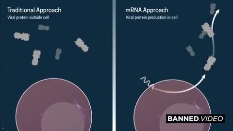 MODERNA CHIEF MEDICAL OFFICER CONFIRMS MRNA INJECTION FOR COVID 19 CAN CHANGE YOUR GENETIC CODE