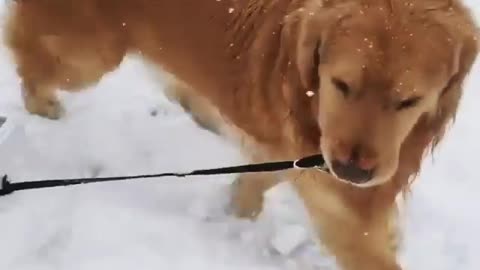 Always best friends