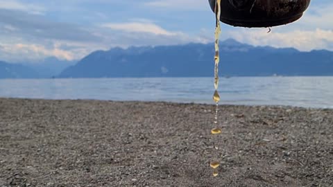 Tea with the nature of Switzerland