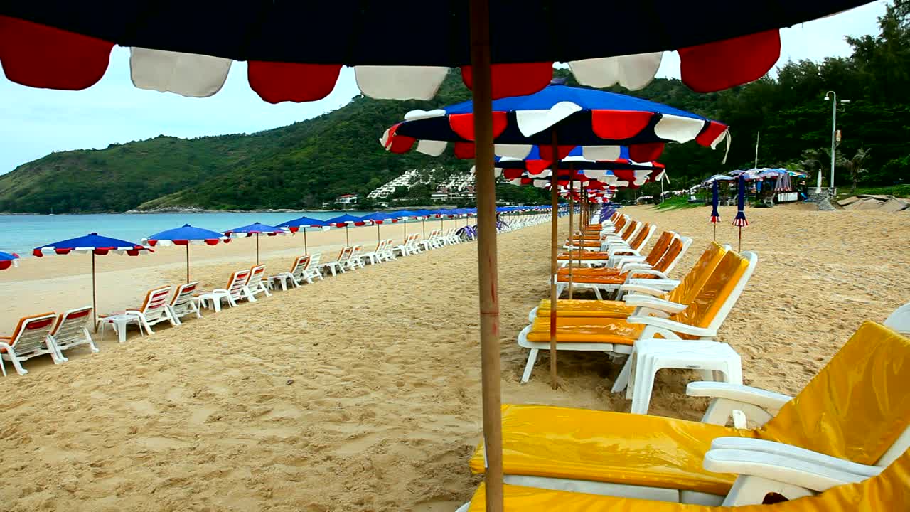 Empty yellow beach chairs