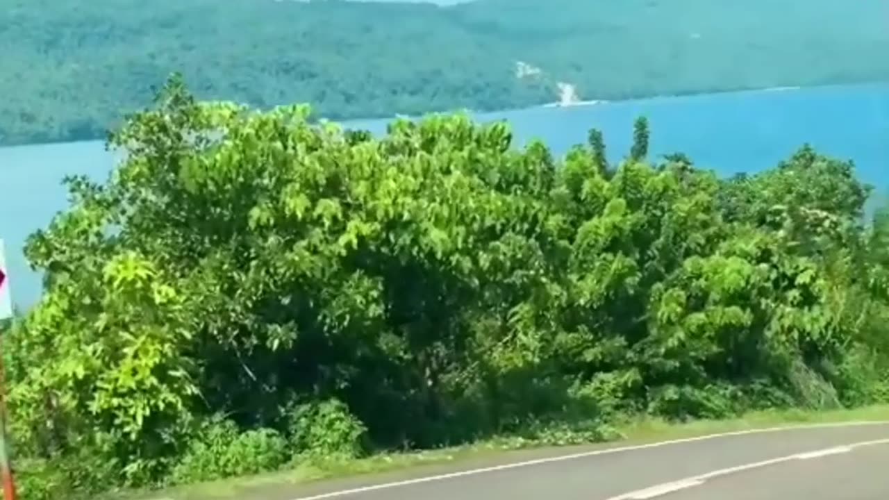 Travel vibes