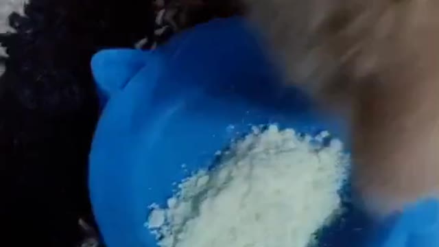 Cat video Playing cute cat video-funny cat video