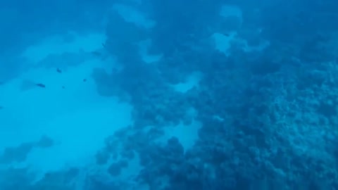 The best view you can see under the sea, Hurghada, Egypt