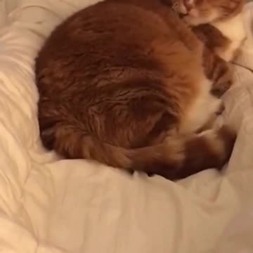 I died laughing 😂🤣😂