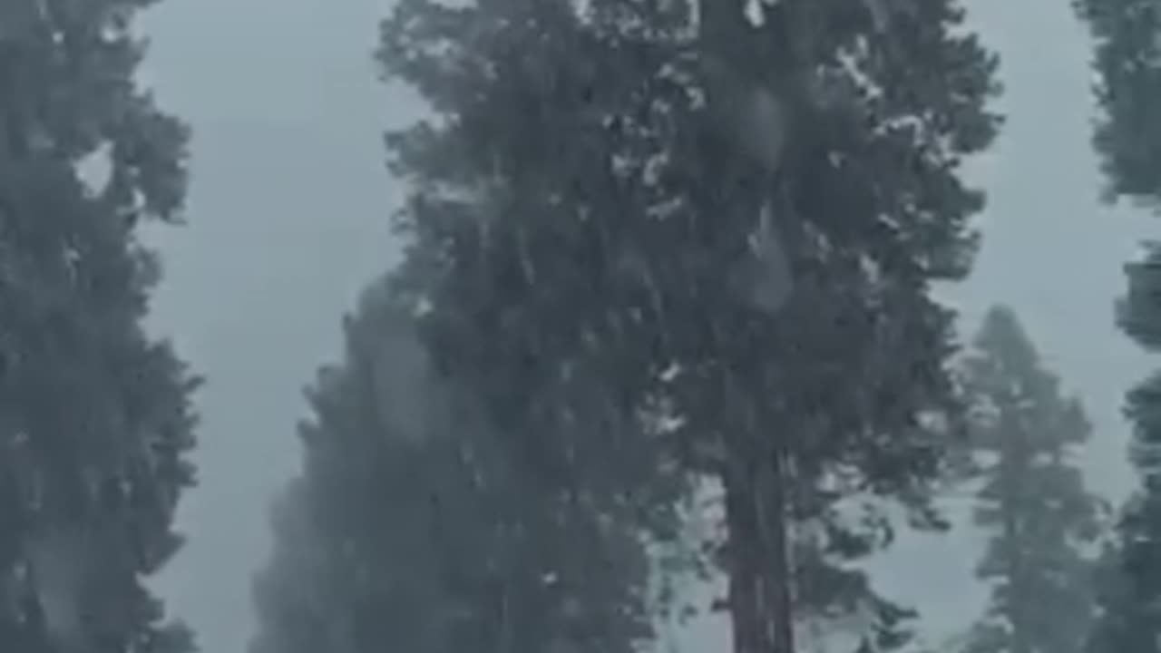 Beautiful Snowfall ❄️