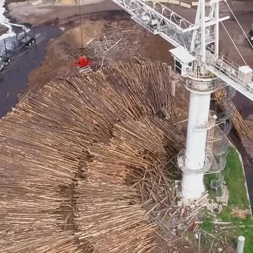 This_mill_processes_thousands_of_#trees_daily_to_create_sustainable_packaging