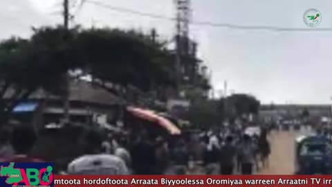 Oduu Waaree ONM-ABO Hagayya 27-2024 itti dhiyaadhaa!