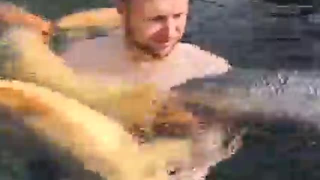 Take a bath with koi fish