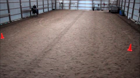 Riding a 30 year old Quarter Horse