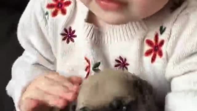 cute puppy, cute baby