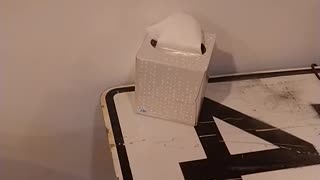 Box of tissues