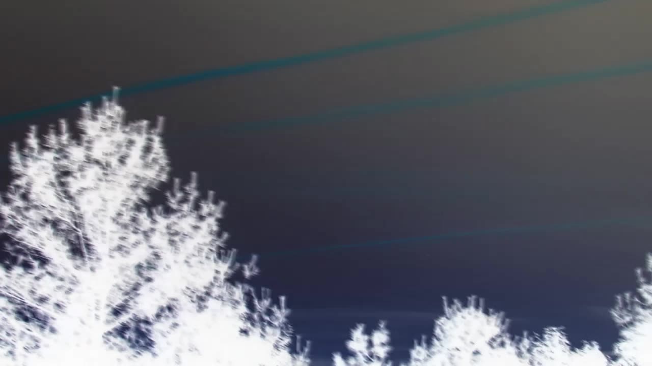 Definitely Not Chem Trails