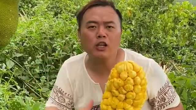 Farm Fresh Ninja Fruit Cutting Desi Satisfying Fruit Ninja Fruit Ideas | Amazing Fruits Video