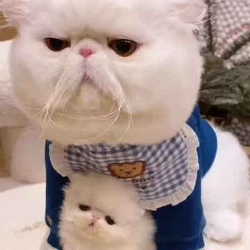 Grandfather and grandson 😂😂😅