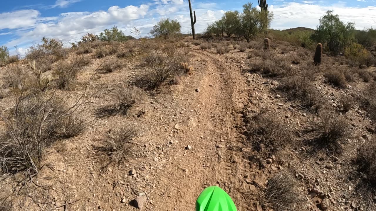 A bush got in my way on my KLX300