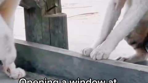 Ok Ok,closing the window again😖