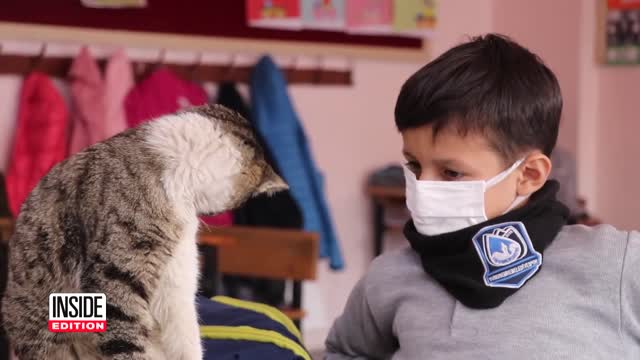 a cat with cute litlle kids in school