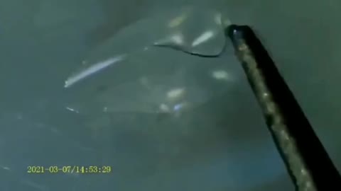 Thin Stands Moving Inside a Brand New N2 Mask