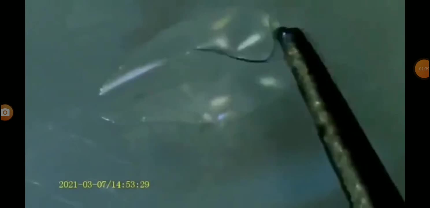 Thin Stands Moving Inside a Brand New N2 Mask