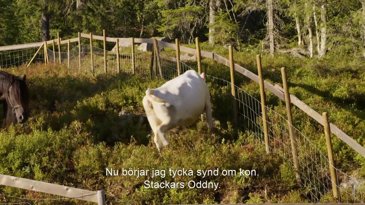 Torpet Norge S04E07