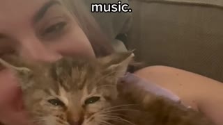 Kitten Has an Unusual Scream