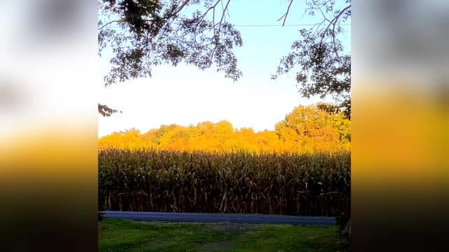 Moments In Nature~ Happy October!