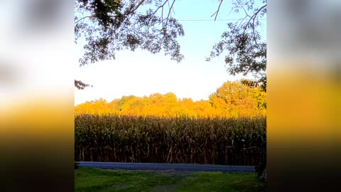 Moments In Nature~ Happy October!