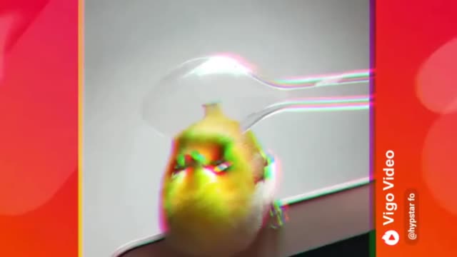 Cute bird, do you like it?