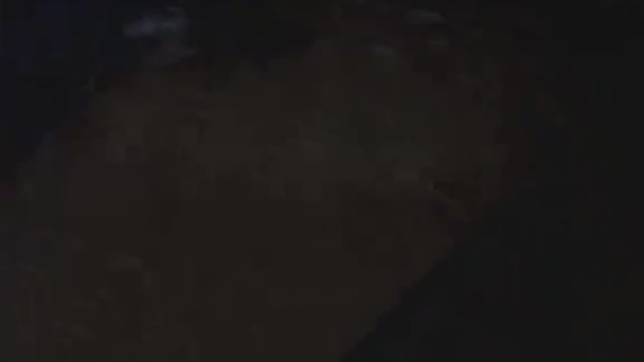 Hurricane flooding brings crocodile into a home