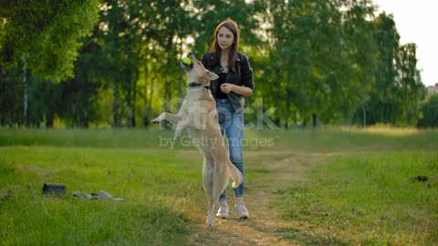 The pretty girl and the cute dog
