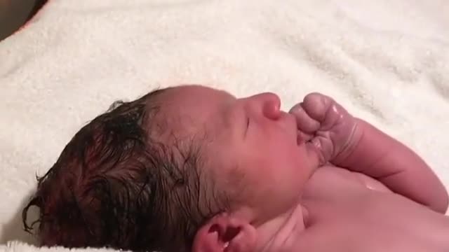 New Cute Baby Born l New Born Baby Video