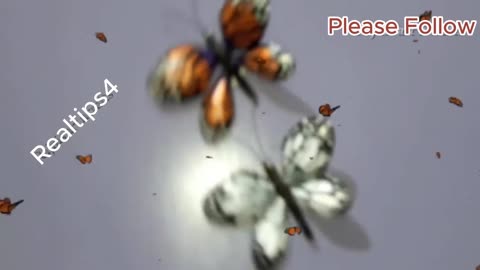 Art And Craft Video|Make Butterfly With Spoons|Realtips4|Follow|