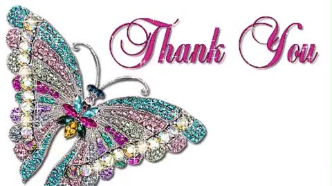 Thank You To All My Followers