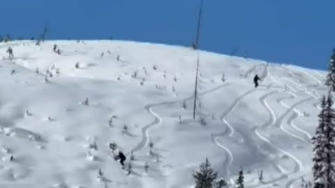 POWDER SURFER