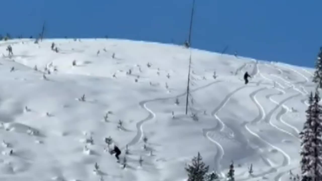 POWDER SURFER