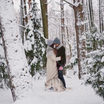 Dogs And Cats Play In Snow - Funny Pets Reaction | Pets Town