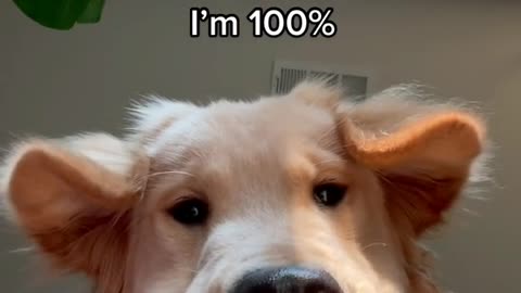 I just took a DNA Test, It is 100%
